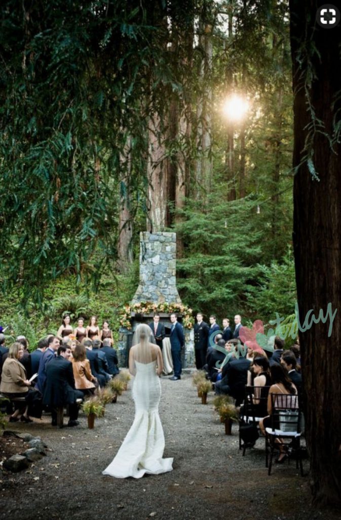 紐西蘭北島-森林婚禮 New Zealand North Island - Forest Wedding