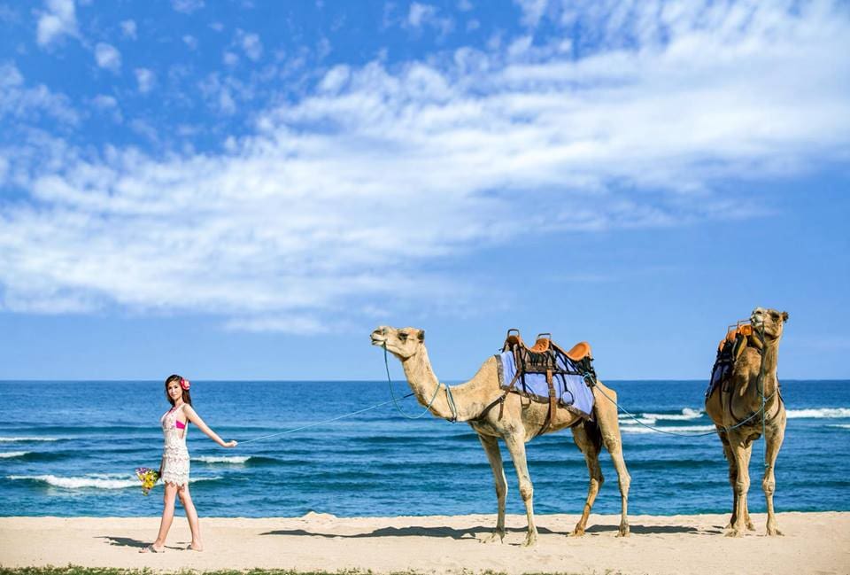 峇里島邊玩邊拍婚紗攝影之旅 圖庫