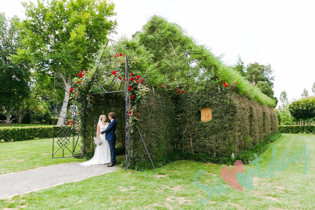 會呼吸的樹教堂森林花園婚禮 圖庫
