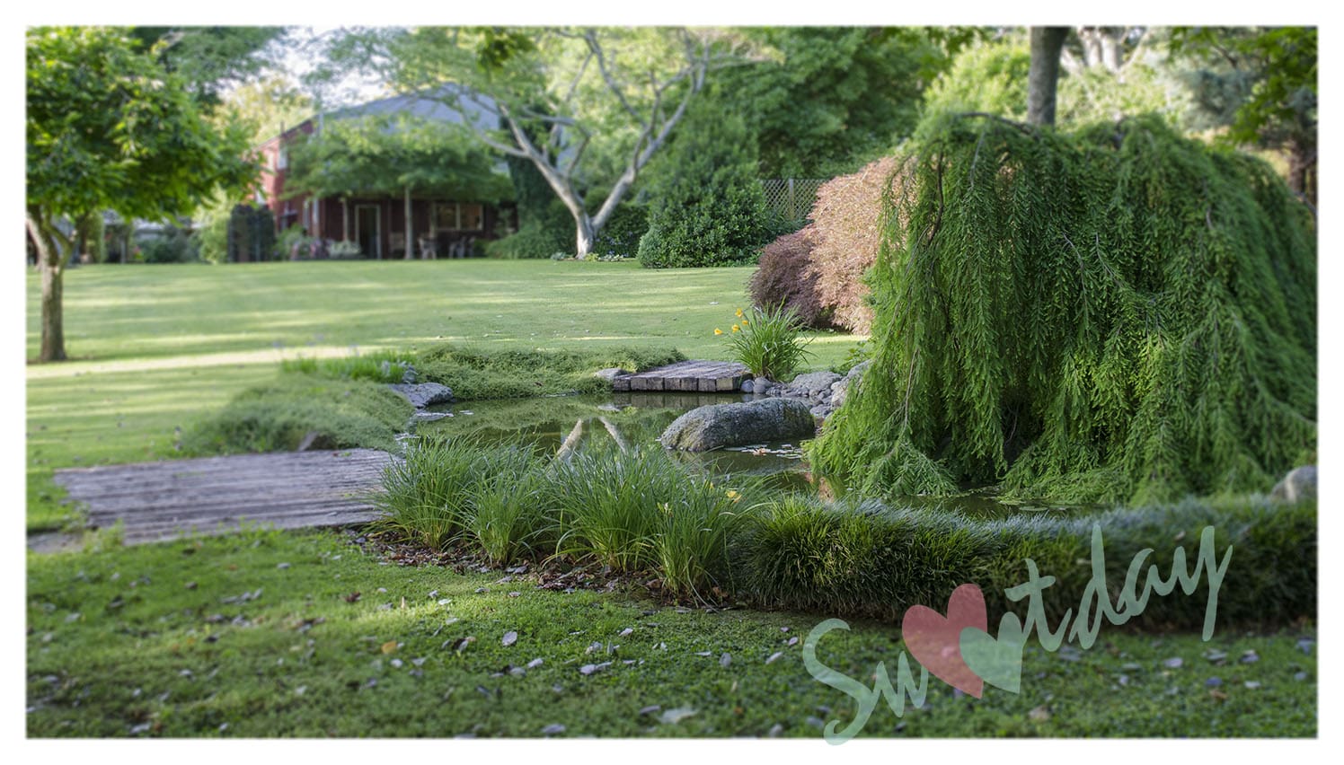 會呼吸的樹教堂森林花園婚禮 圖庫