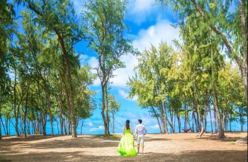 夏威夷藍海沙灘婚禮 圖庫