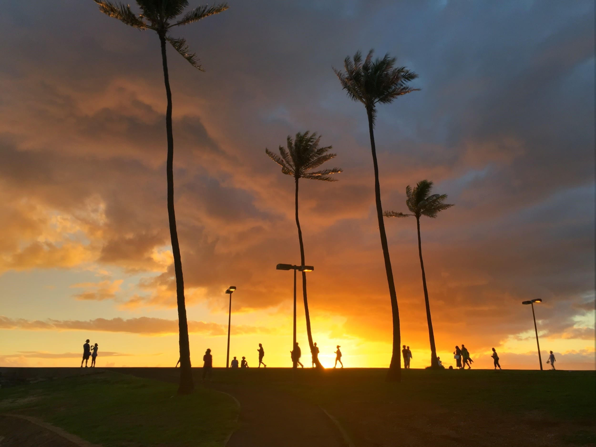 夏威夷彩虹島夕陽海濱草坪婚禮 圖庫