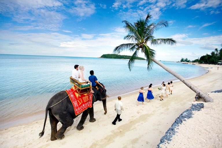 蘇梅島 Samui 蘇梅島隱秘天堂鄉村風沙灘婚禮