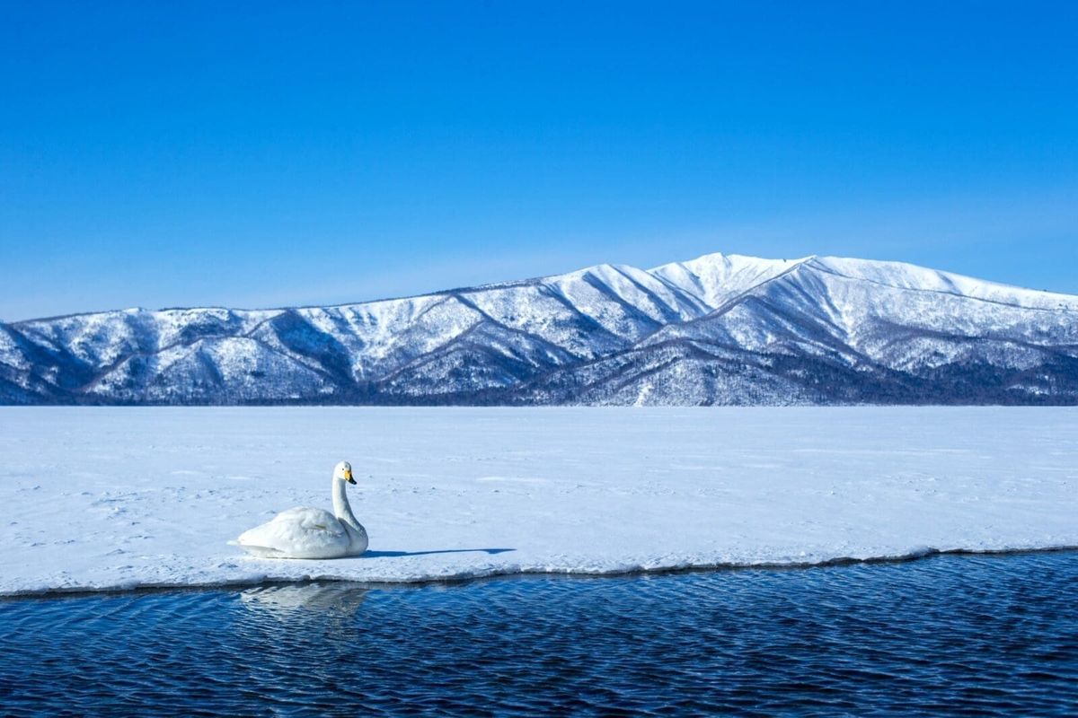雪國溫泉蜜月・北海道5天4夜蜜月旅行