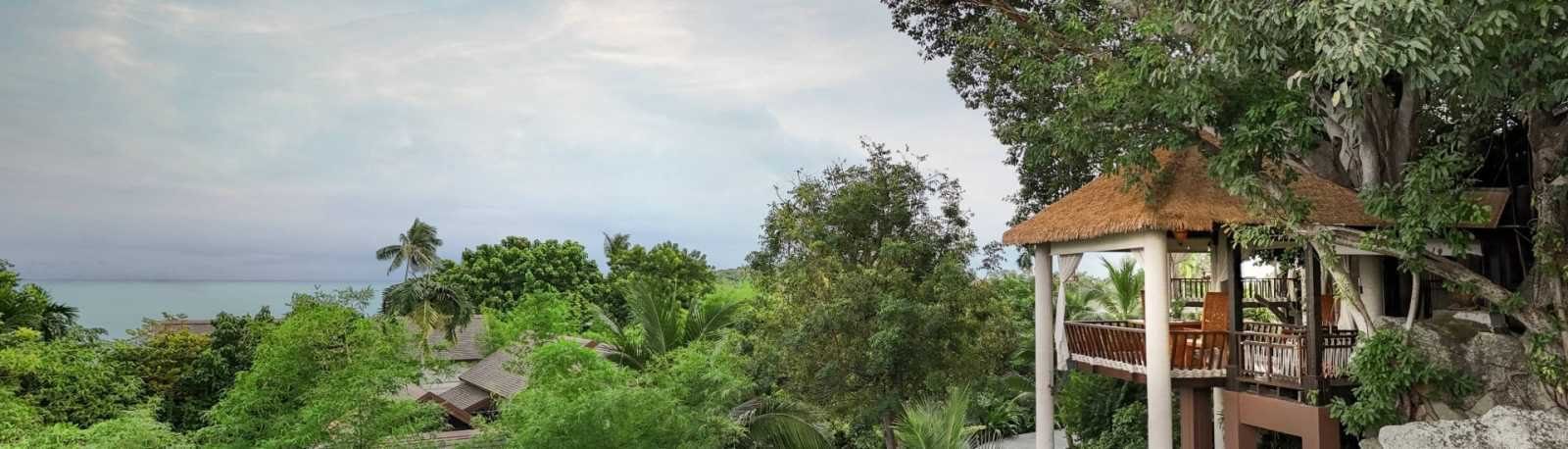 Tree Tops