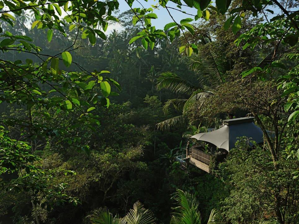 Valley Tent