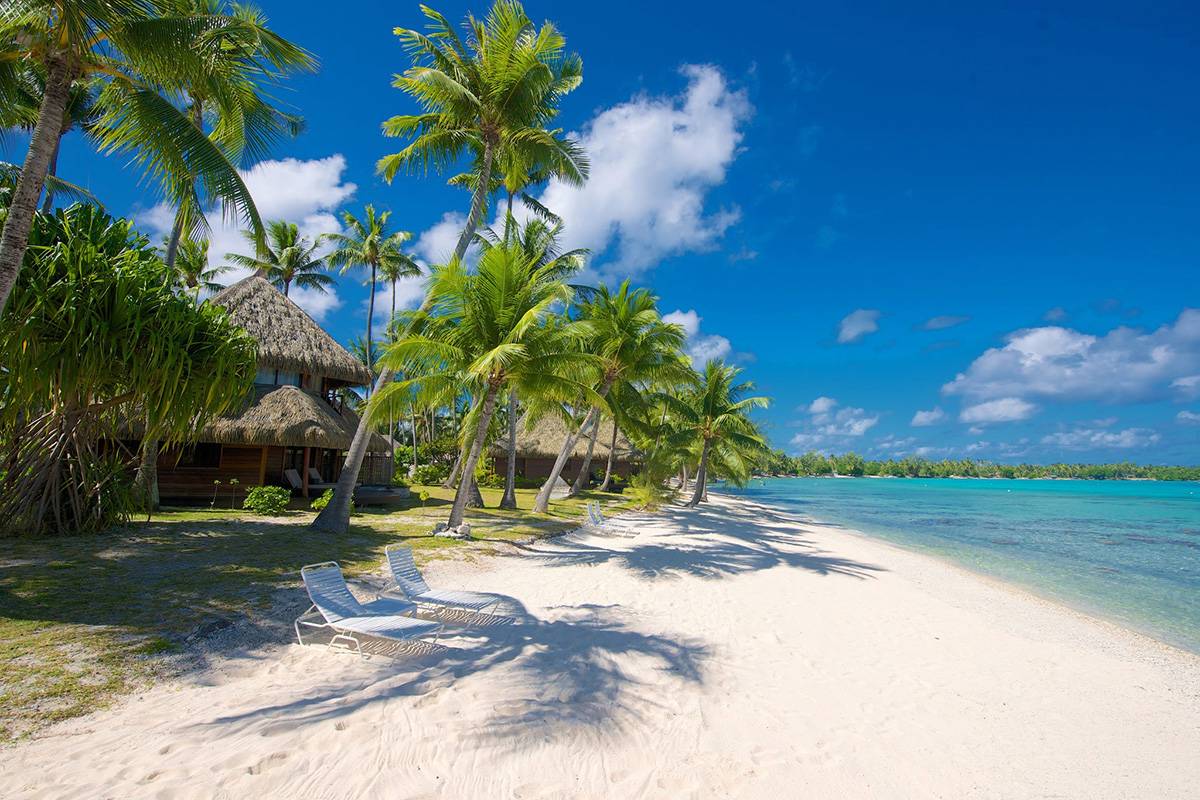朗伊羅阿奇亞歐拉 Hotel Kia Ora Rangiroa