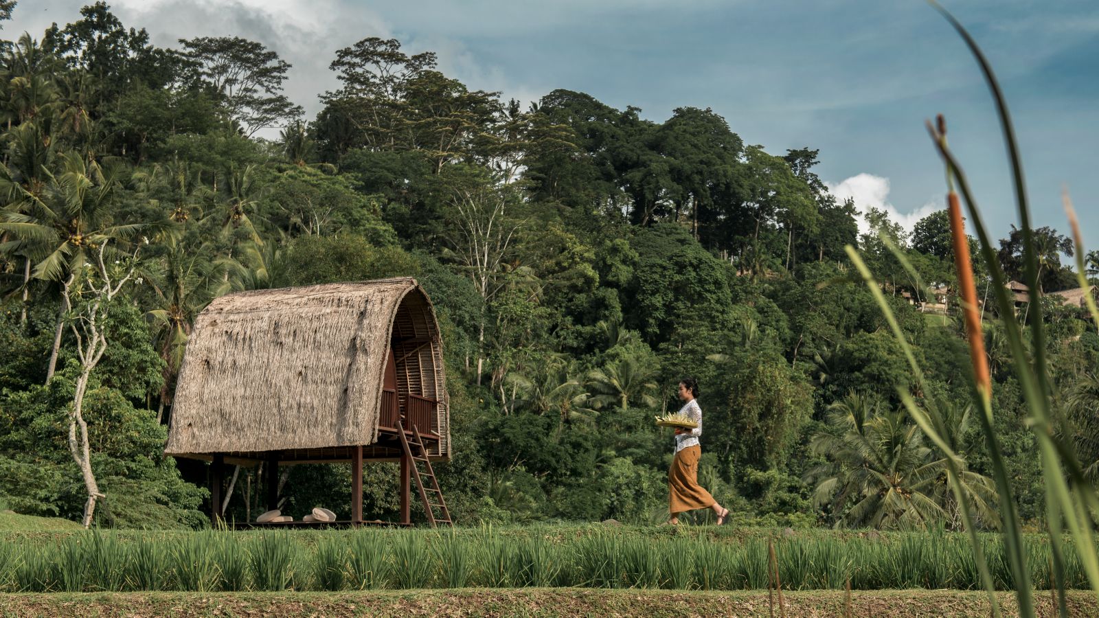峇里島曼達帕麗思卡爾頓隱世 Mandapa, a Ritz-Carlton Reserve