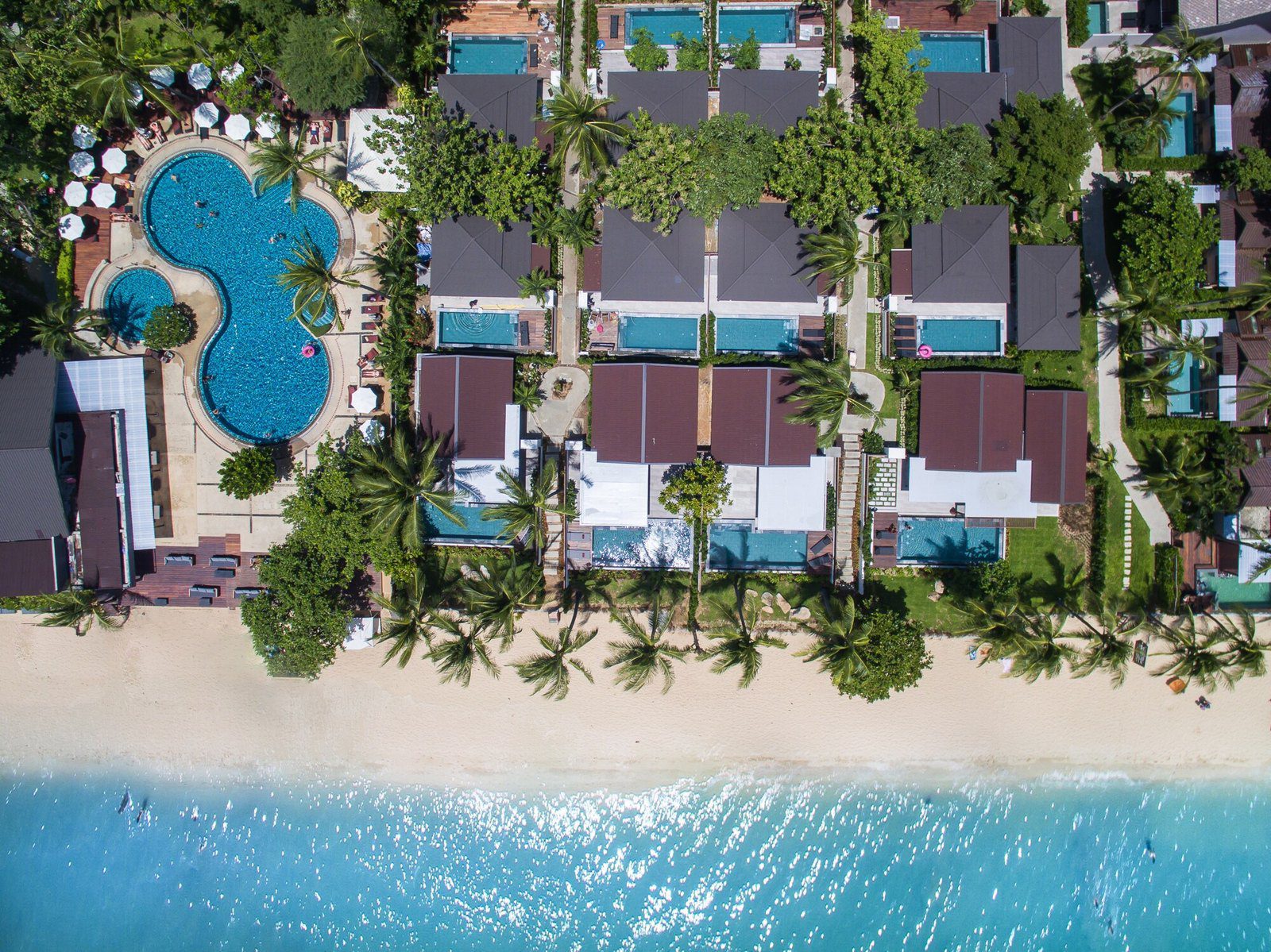 泰國 蘇美島・波普 蘇美島 NH 典藏和平度假村 NH Collection Samui Peace Resort