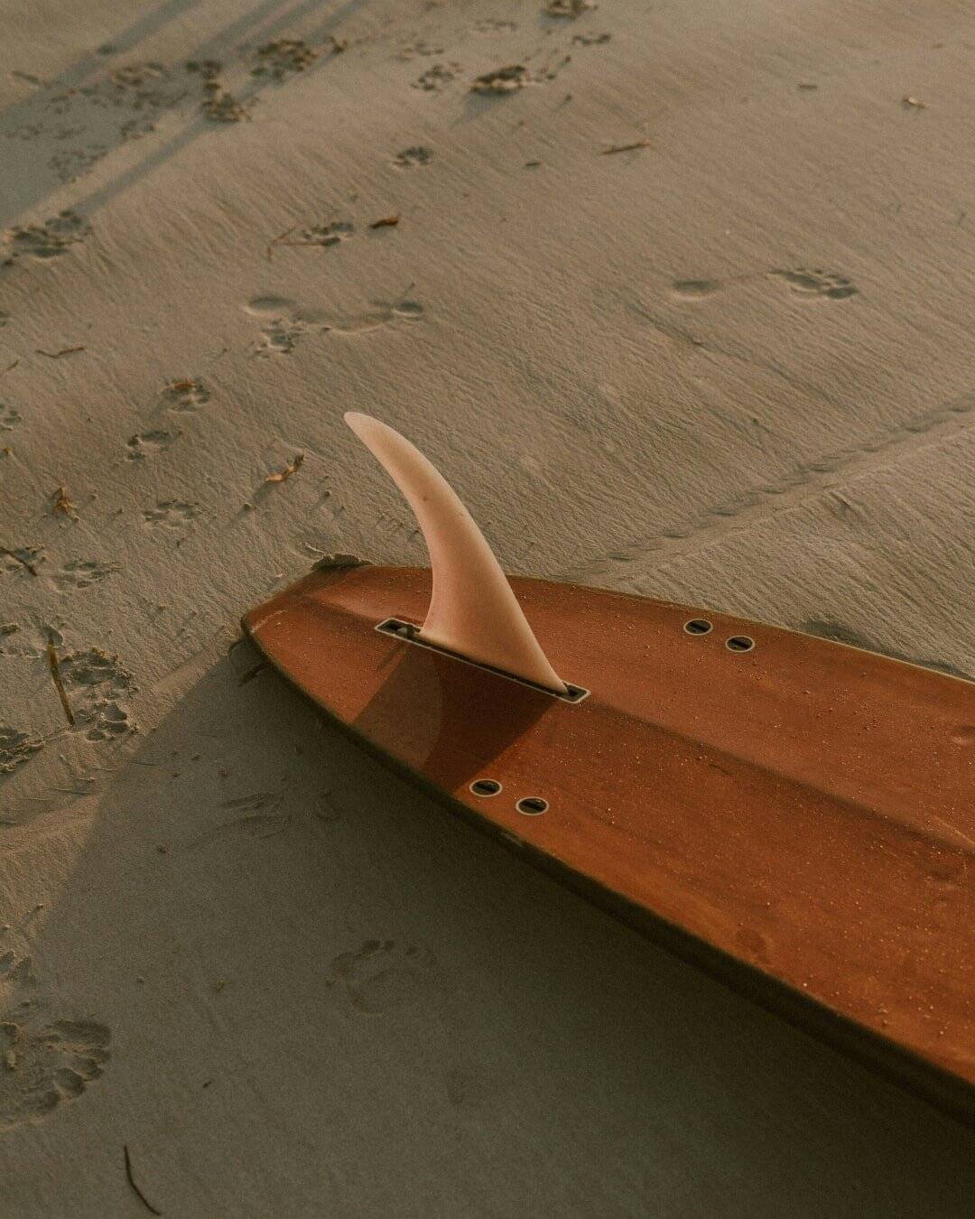 School of Surf