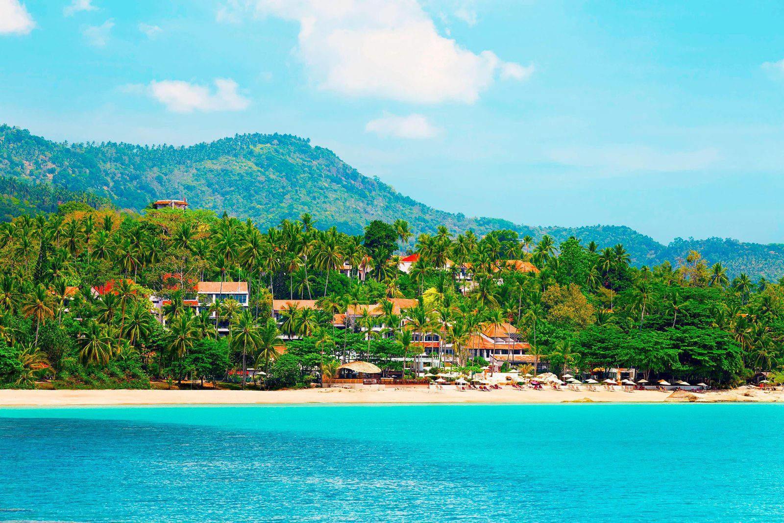 泰國 蘇美島・查汶諾伊 蘇美島喜來登 Sheraton Samui Resort