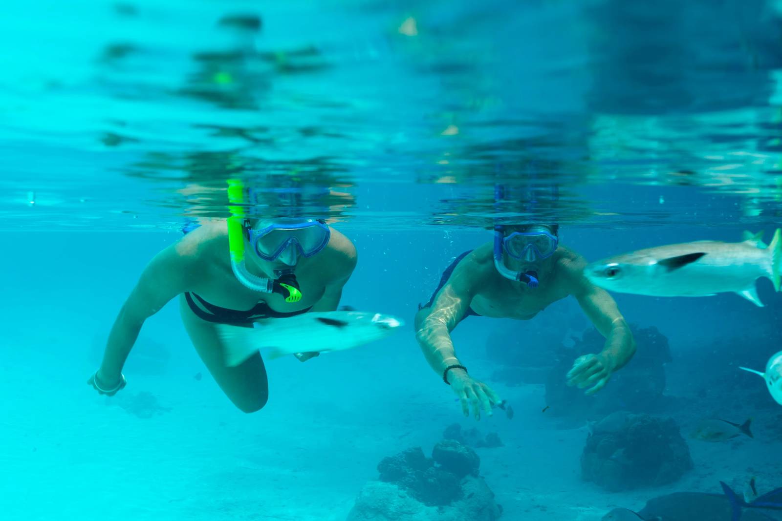 Lagoonarium